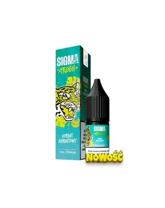 SIGMA Sorbet Agrestowy 10 ml 20 mg – owocowy sorbet